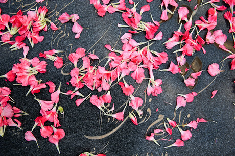 آیا "سنگ قبر" جدیدی در بهشت زهرا به سرقت رفته است؟